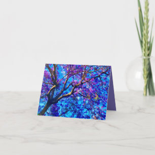 Jacaranda-Baum-Karte Karte