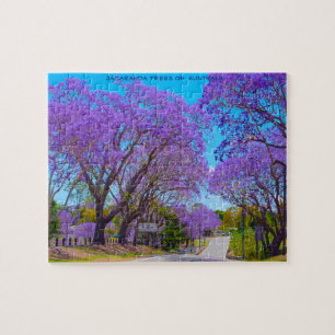 Jacaranda-Bäume Australiens