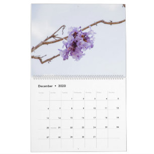 Jacaranda Blume Kalender