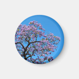 Jacaranda Magnet