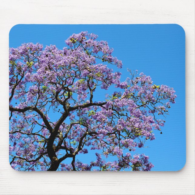 Jacaranda Mousepad (Vorne)