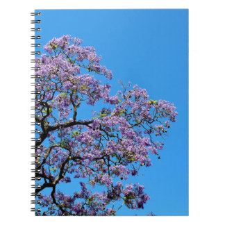 Jacaranda Notizblock