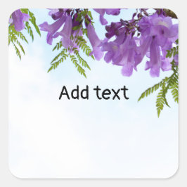 Jacaranda Purple Blumen blühen auf dem Baum Quadratischer Aufkleber