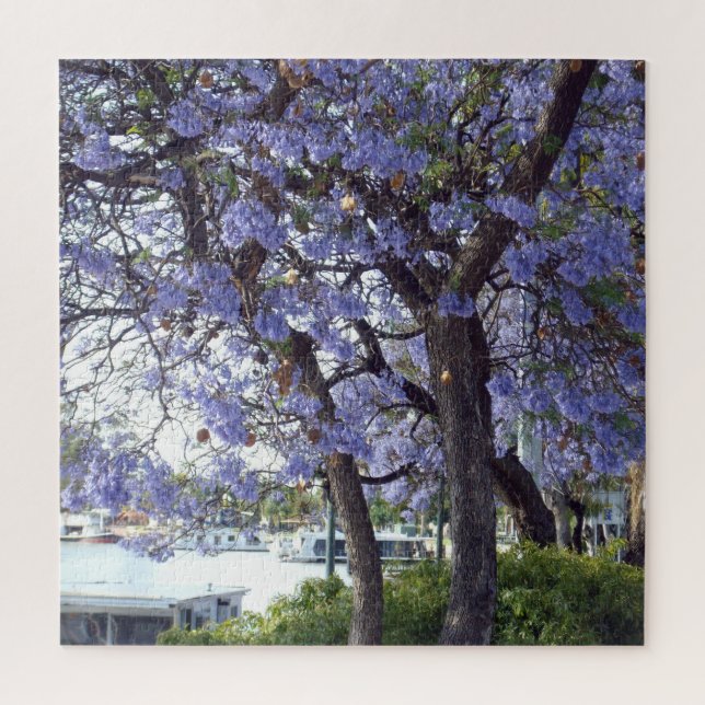 **"Jacaranda Reflections: Houseboats on Murray (Vertikal)