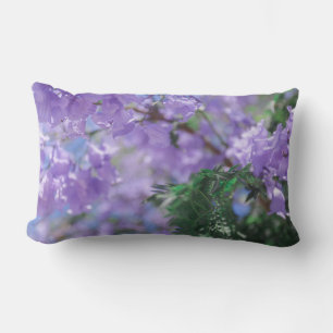 Jacaranda Tree Blume Kissen Kissen Kissen Kissen