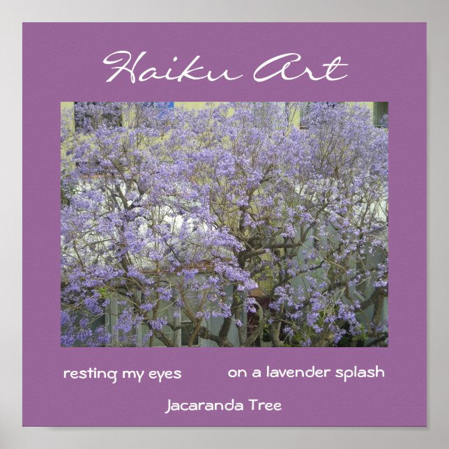 Jacaranda Tree Print Poster (Vorne)