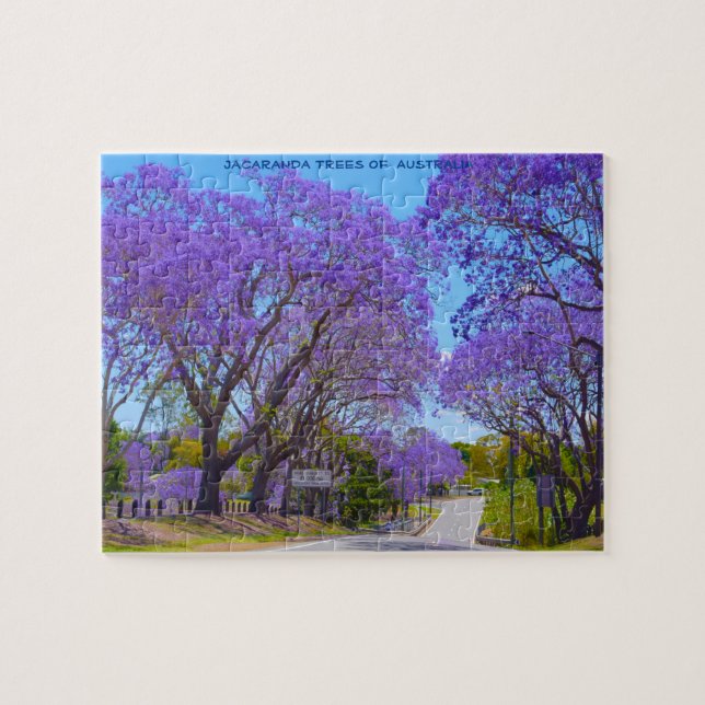 Jacaranda Trees of Australia (Horizontal)