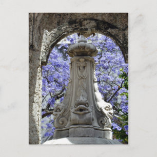 Jacarandi Postkarte