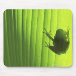 Jachiyo, Präfektur Chiba, Japan 2 Mousepad