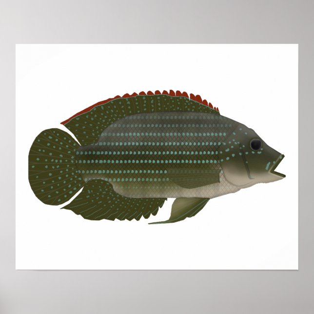 Jack Dempsey Poster (Vorne)