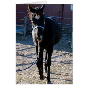 Jack hält seine Zunge heraus