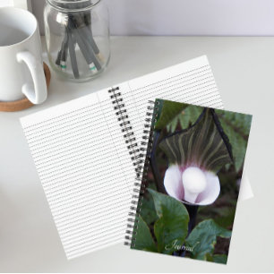 Jack-in-the-Pulpit-Pflanze Botanisch Notizbuch