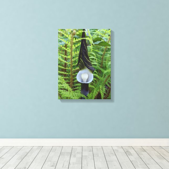 Jack-in-the-Pulpit Woodland Pflanze Leinwanddruck (Insitu (Holzboden))