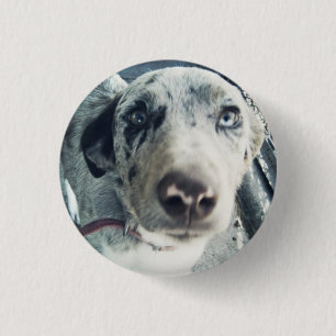 Jack-Knopf Button