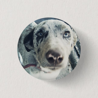 Jack-Knopf Button