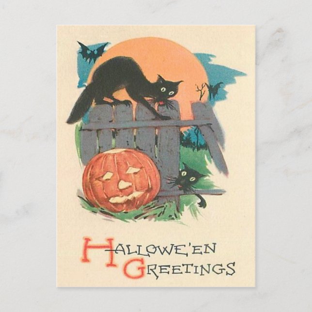 Jack O' Lantern Black Cat Bat Vollmond Postkarte (Vorderseite)