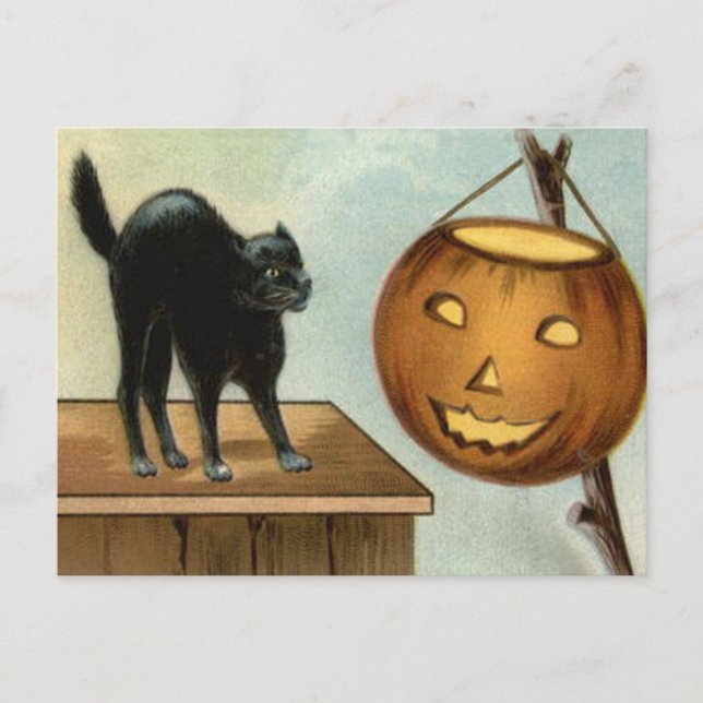 Jack O' Lantern Black Cat Pumpkin Postkarte (Vorderseite)