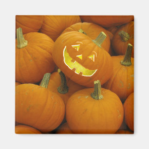 Jack-O-Lantern in einem Kürbisgeflecht Magnet
