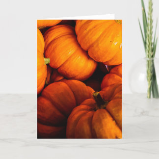 Jack O' Lantern Sammlung #1 Karte