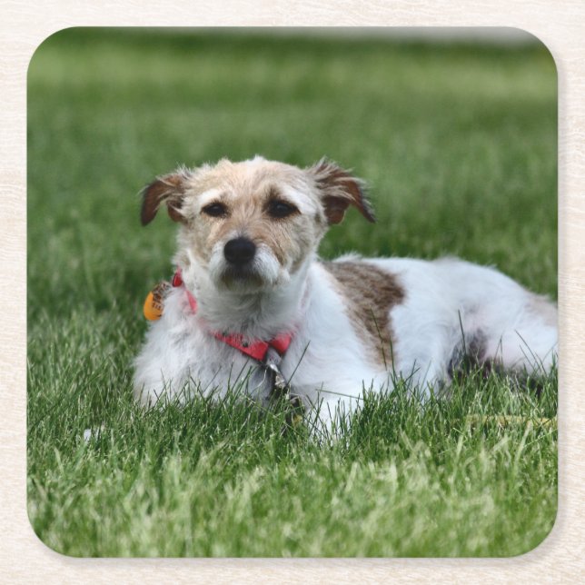 Jack Rechteckiger Pappuntersetzer (Vorderseite)