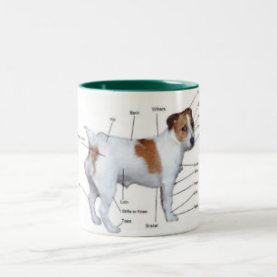 Jack-Russel-Diagrammbecher Zweifarbige Tasse