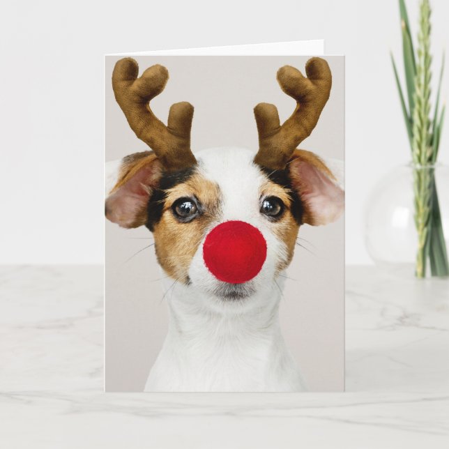 JACK RUSSEL TERRIER-CHRISTMAS-Faltkarte Karte (Vorderseite)