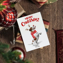 Jack Russel Terrier Dog Red Nose Antlers Xmas Feiertagskarte