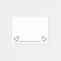 Jack Russel Terrier