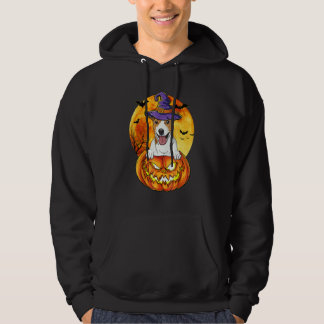 Jack Russel Terrier Witch Pumpkin Halloween Dog Hoodie