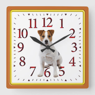 Jack Russell Acrylwand Quadratische Wanduhr