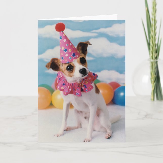 Jack Russell Dog Birthday Card Karte (Vorderseite)