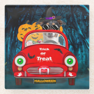 Jack Russell Dog Driving Car Beängstigend Hallowee Glasuntersetzer