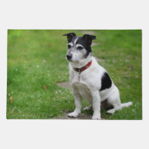 Jack Russell Door Mat - Spielerischer Jungtier