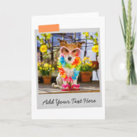 Jack Russell Funny Card