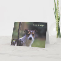 Jack Russell Geburtstagskarte