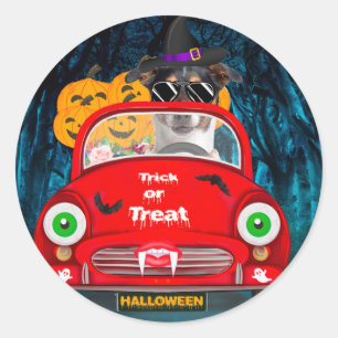 Jack Russell Hund fährt Auto Gruselig Halloween Runder Aufkleber