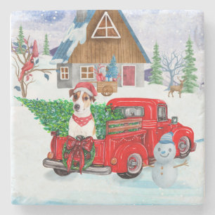 Jack Russell Hund in der Weihnachtslieferung LKW S Steinuntersetzer