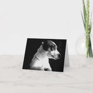 Jack Russell im Gedanken Karte