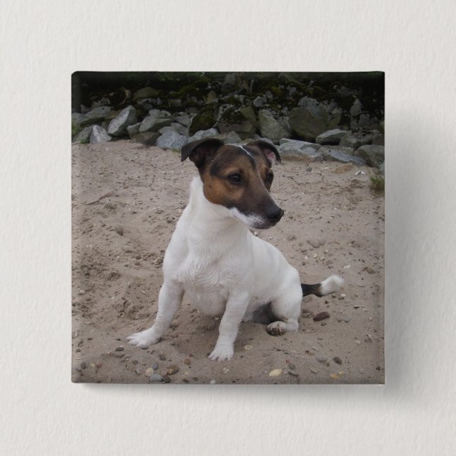Jack Russell klein Hund Button (Vorderseite)