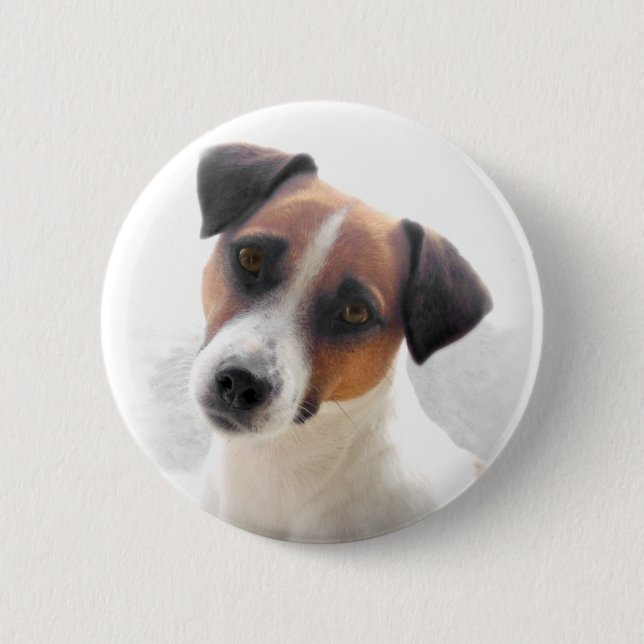 Jack-Russell-Knopf Button (Vorderseite)