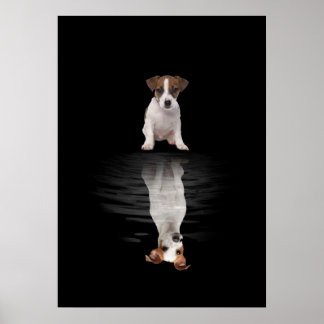 Jack Russell Liebe Niedlich Jack Russell Poster
