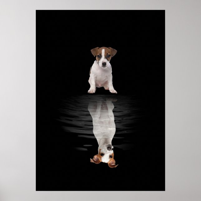 Jack Russell Liebe Niedlich Jack Russell Poster (Vorne)