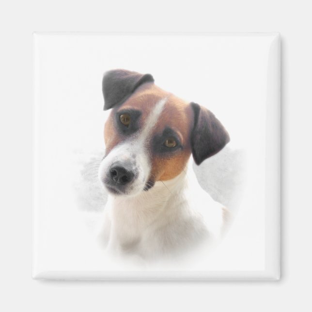 Jack Russell Magnet (Vorne)