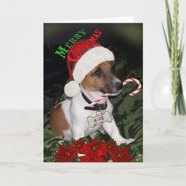 Jack Russell Naughty ou Nice Cartes (Devant)