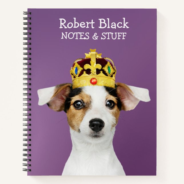 Jack Russell portant un Carnet de couronne (Devant)