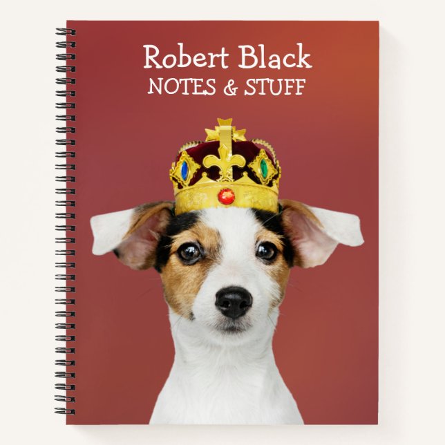 Jack Russell portant un Carnet de couronne (Devant)