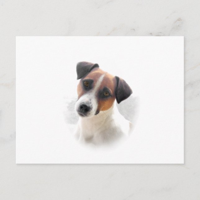 Jack Russell Postcard Postkarte (Vorderseite)
