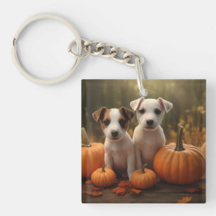 Jack Russell Puppy Automne Citrouille de plaisir