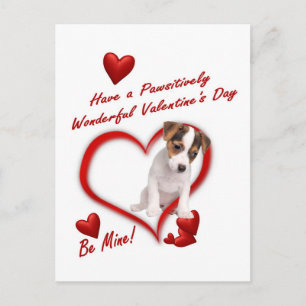 Jack Russell Puppy-Liebe in einer Postkarte