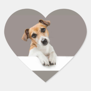 Jack Russell Puppy Sweet Adorable Niedlich Herz-Aufkleber